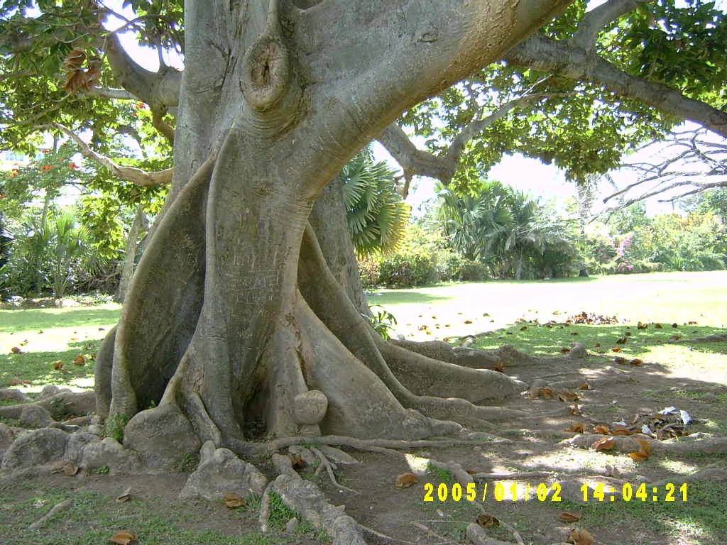 大事记 / Hope Garden&Hope Zoo，SV300516.JPG