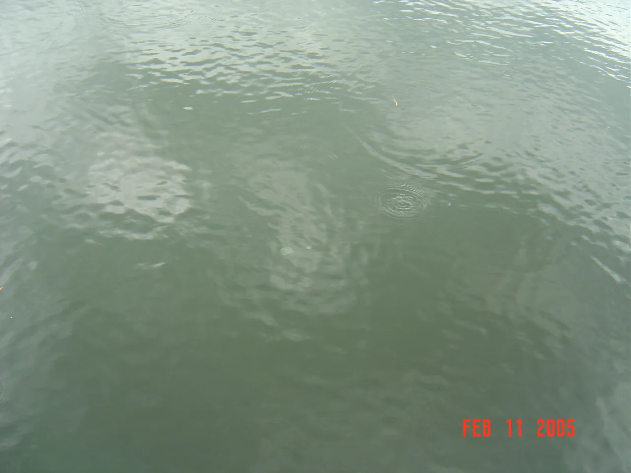 大事记 / 黑河，DSC02323.JPG