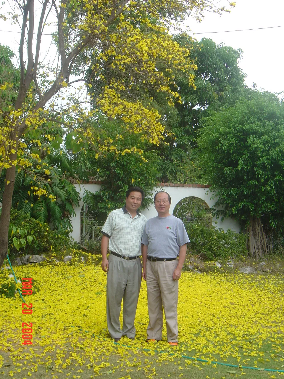 前期考察 / Embassor house，DSC00578.JPG