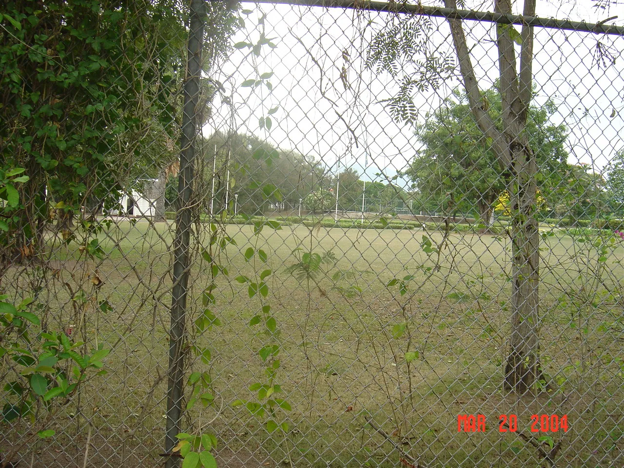 前期考察 / Embassor house，DSC00543.JPG