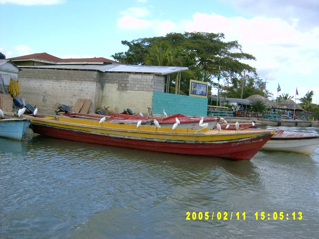 大事记 / 黑河，SV301386.JPG
