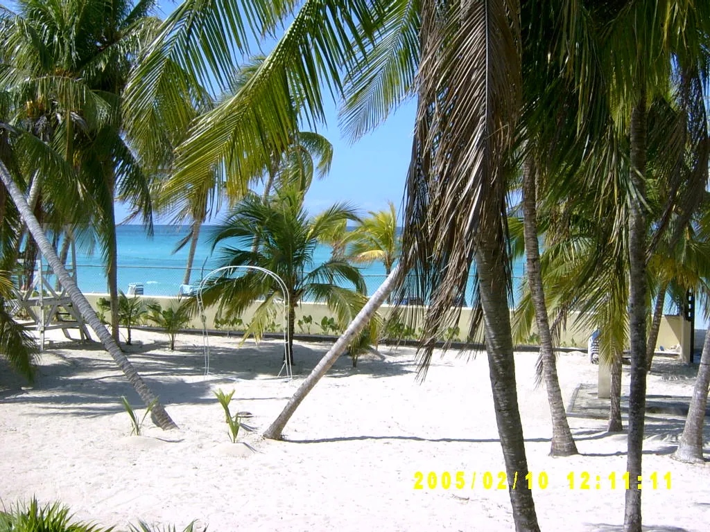 大事记 / Negril，SV301193.JPG