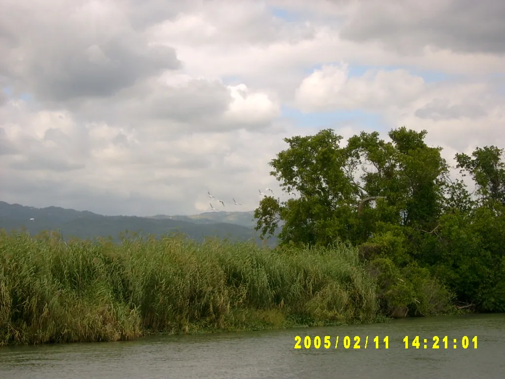 大事记 / 黑河，SV301345.JPG