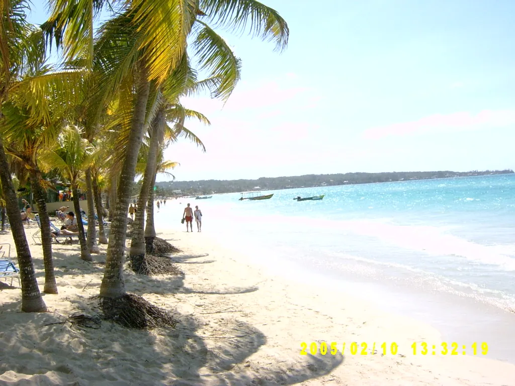 大事记 / Negril，SV301209.JPG