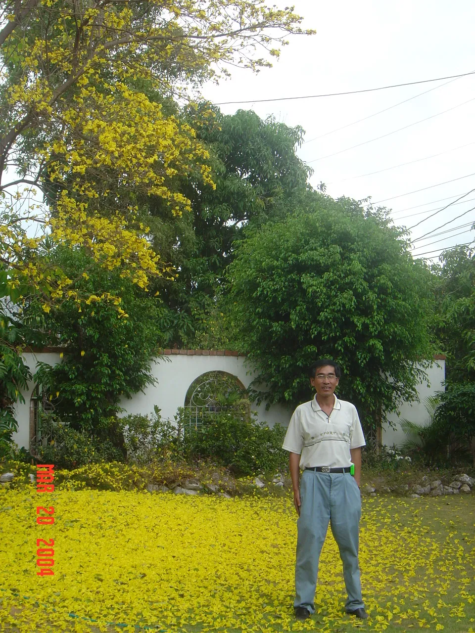 前期考察 / Embassor house，DSC00575.JPG