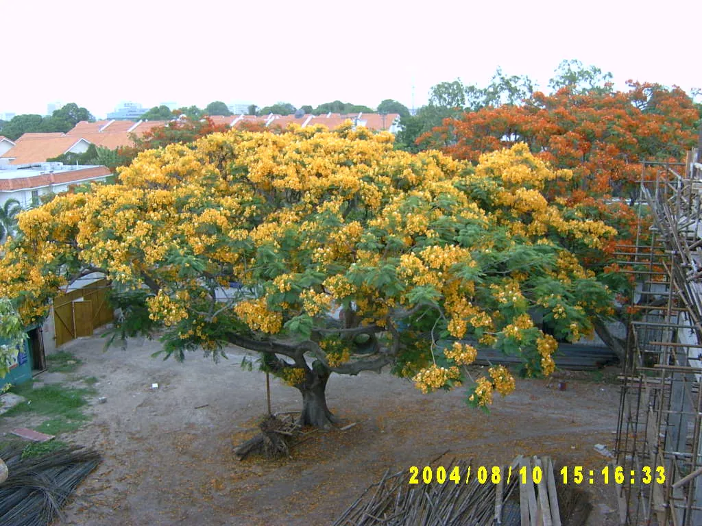 其他，SV300119.JPG