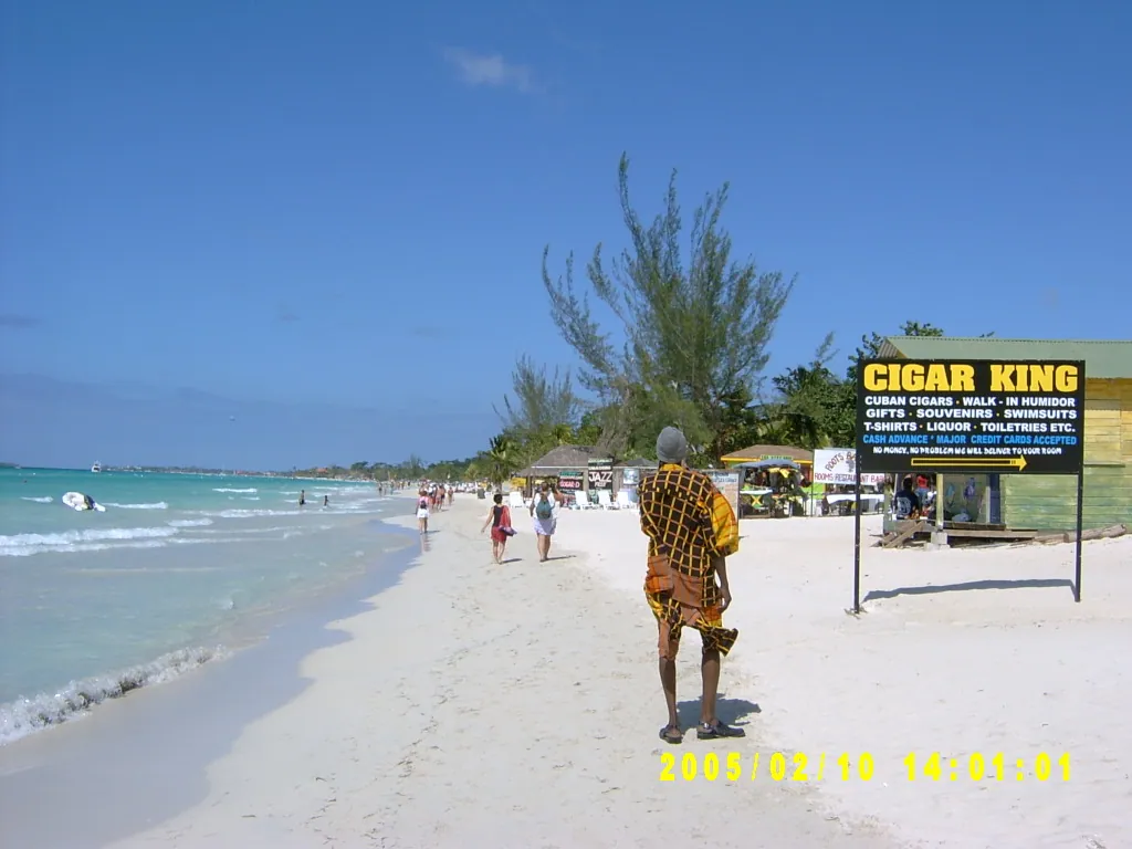 大事记 / Negril，SV301219.JPG