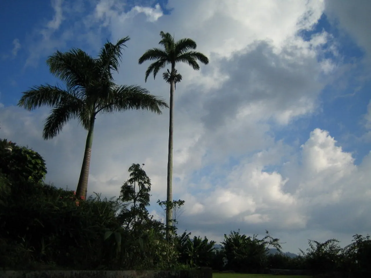 大事记 / Blue Mountain，IMG_1436.jpg