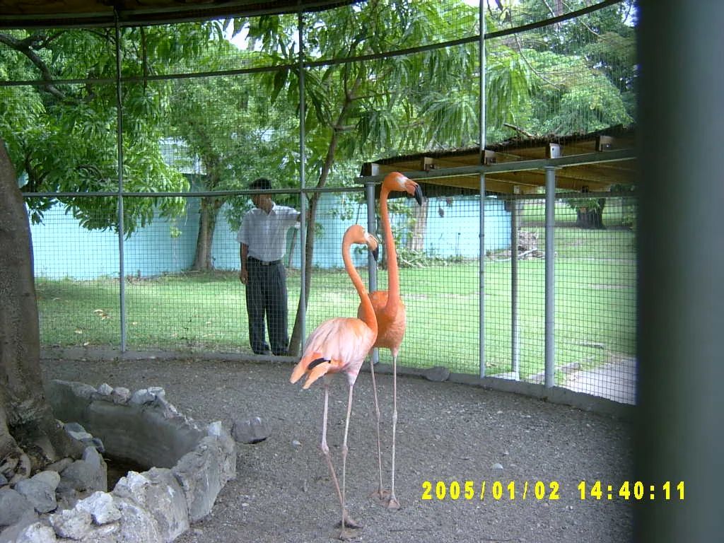 大事记 / Hope Garden&Hope Zoo，SV300570.JPG