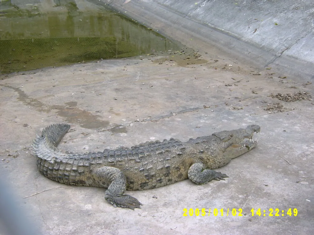 大事记 / Hope Garden&Hope Zoo，SV300541.JPG