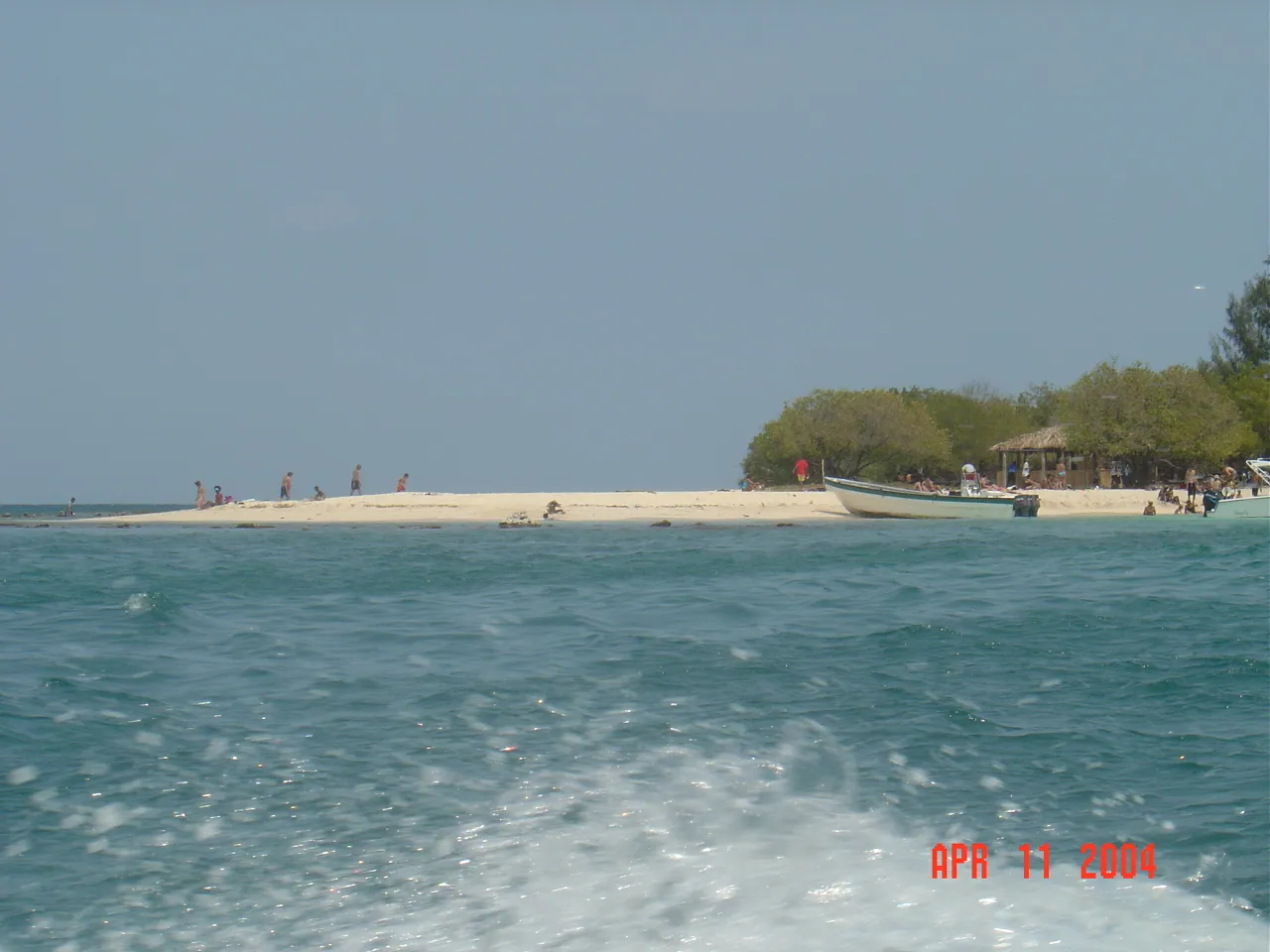 前期考察 / travel / KINGSTON / Lime Cay，DSC00681.JPG
