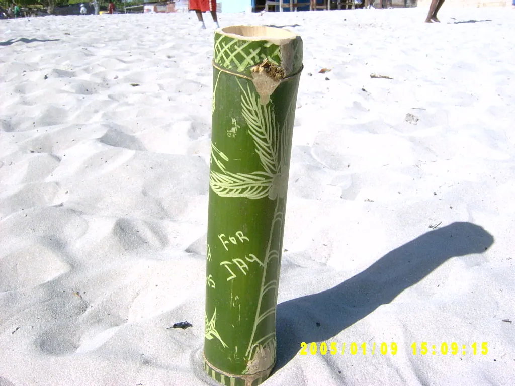 小事记 / 爱尔沙Beach，SV300702.JPG