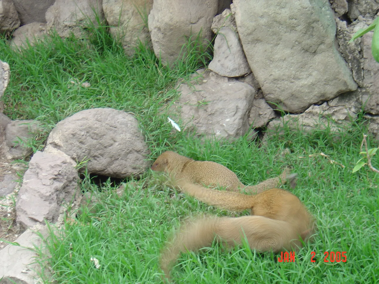 大事记 / Hope Garden&Hope Zoo，DSC02056.JPG