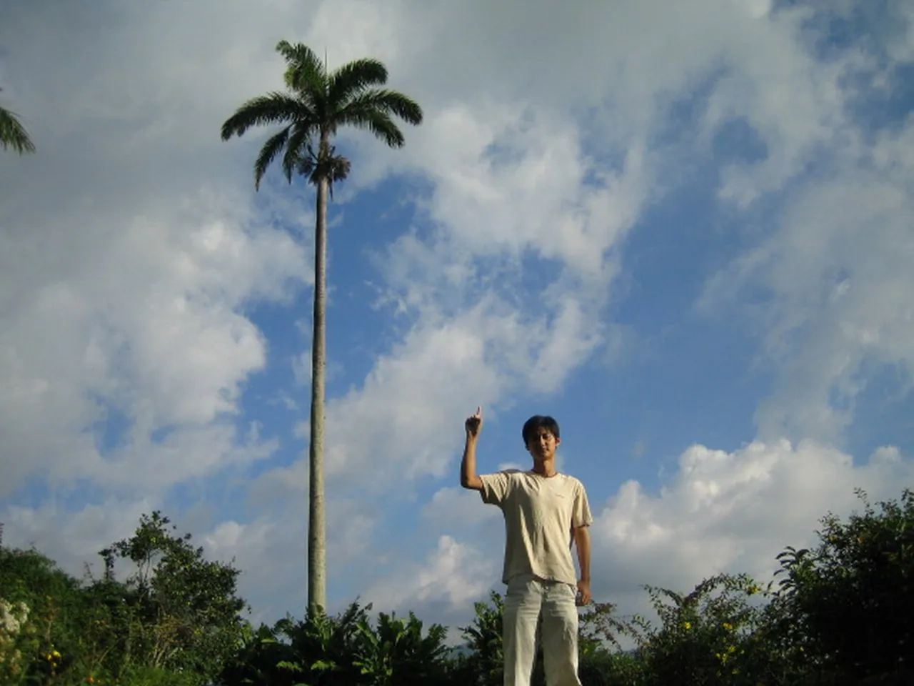 大事记 / Blue Mountain，IMG_1449.jpg