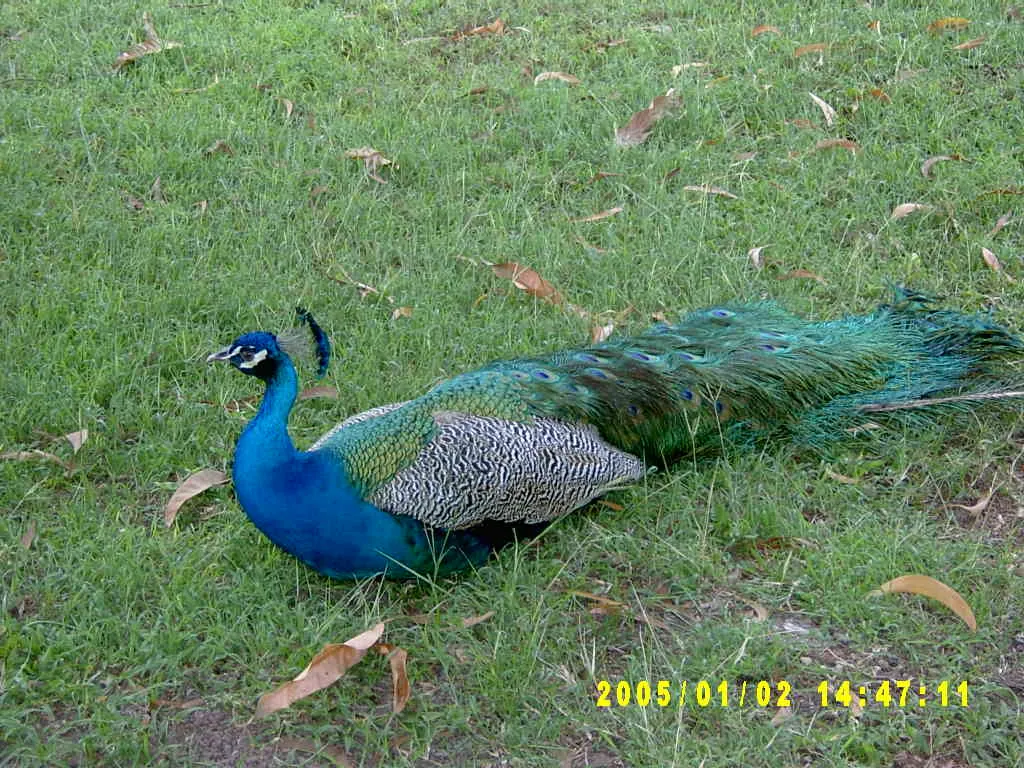 大事记 / Hope Garden&Hope Zoo，SV300581.JPG