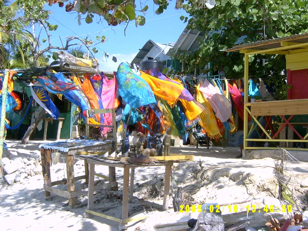 大事记 / Negril，SV301215.JPG