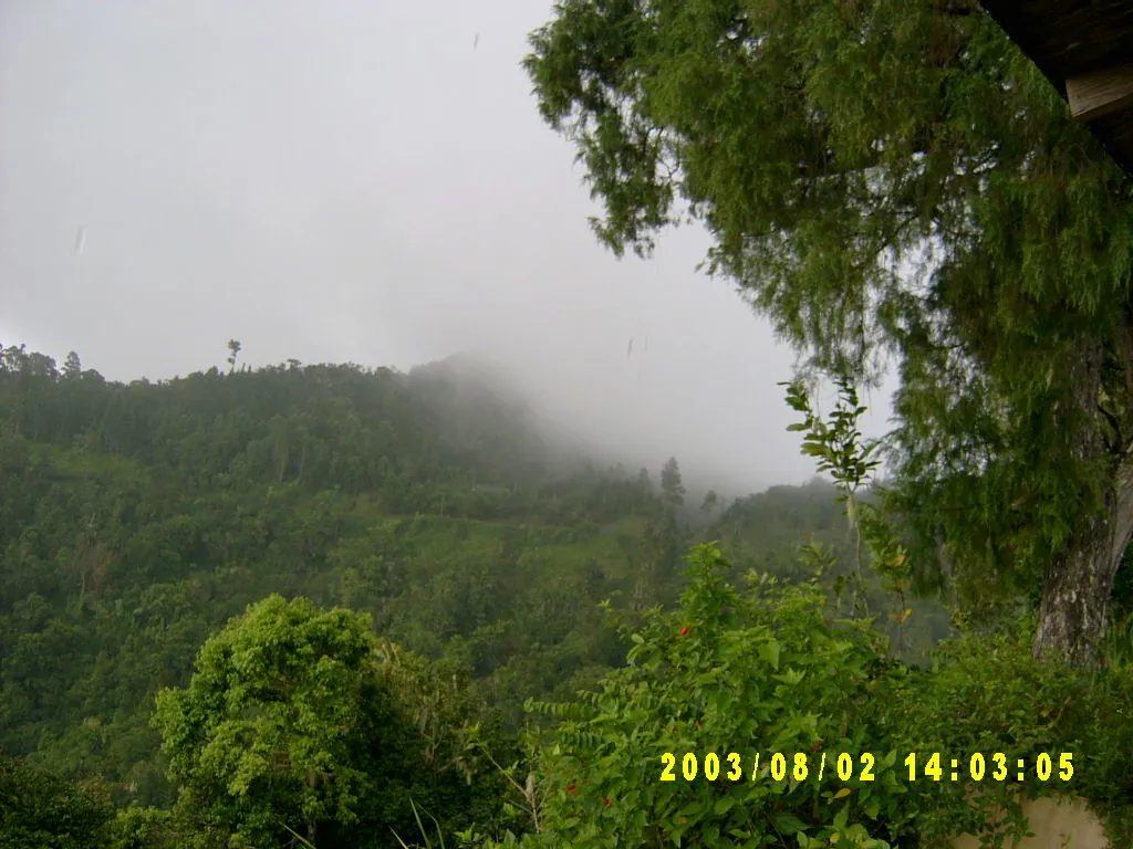 大事记 / Blue Mountain，SV300061.JPG