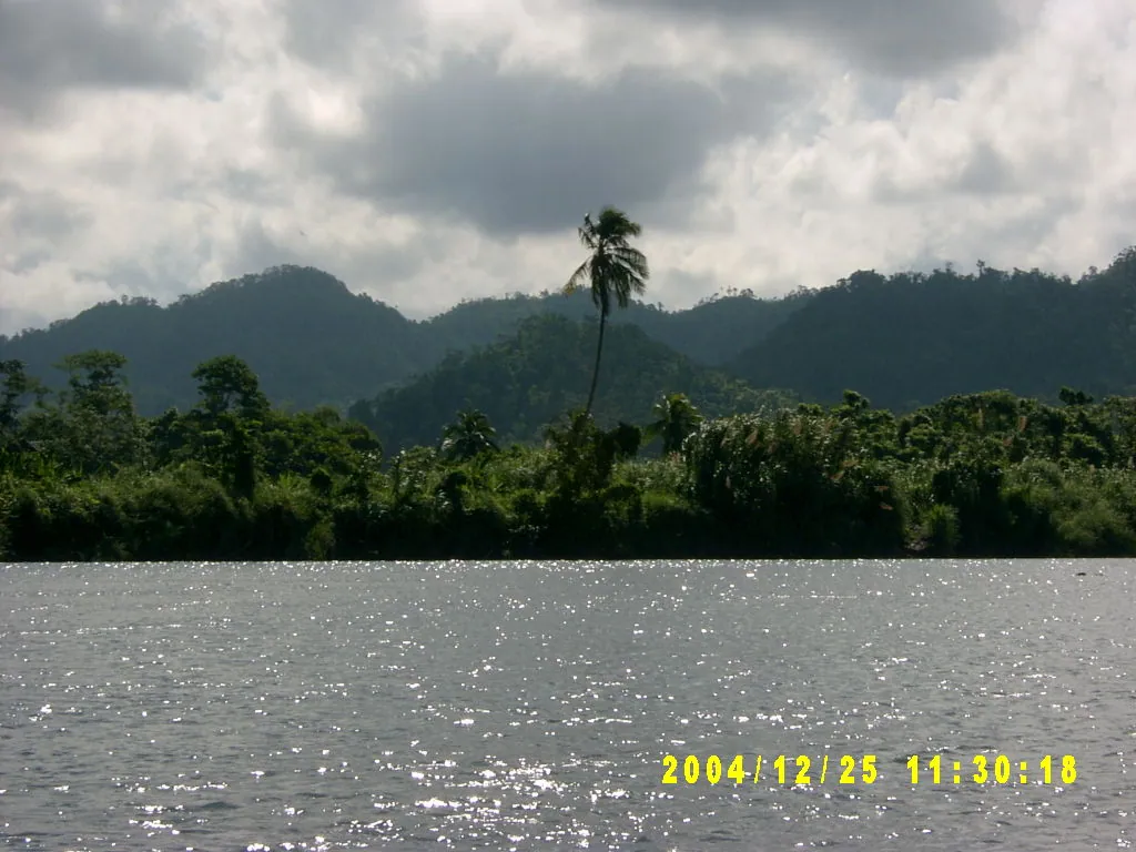 大事记 / 安东尼奥港，SV300302.JPG