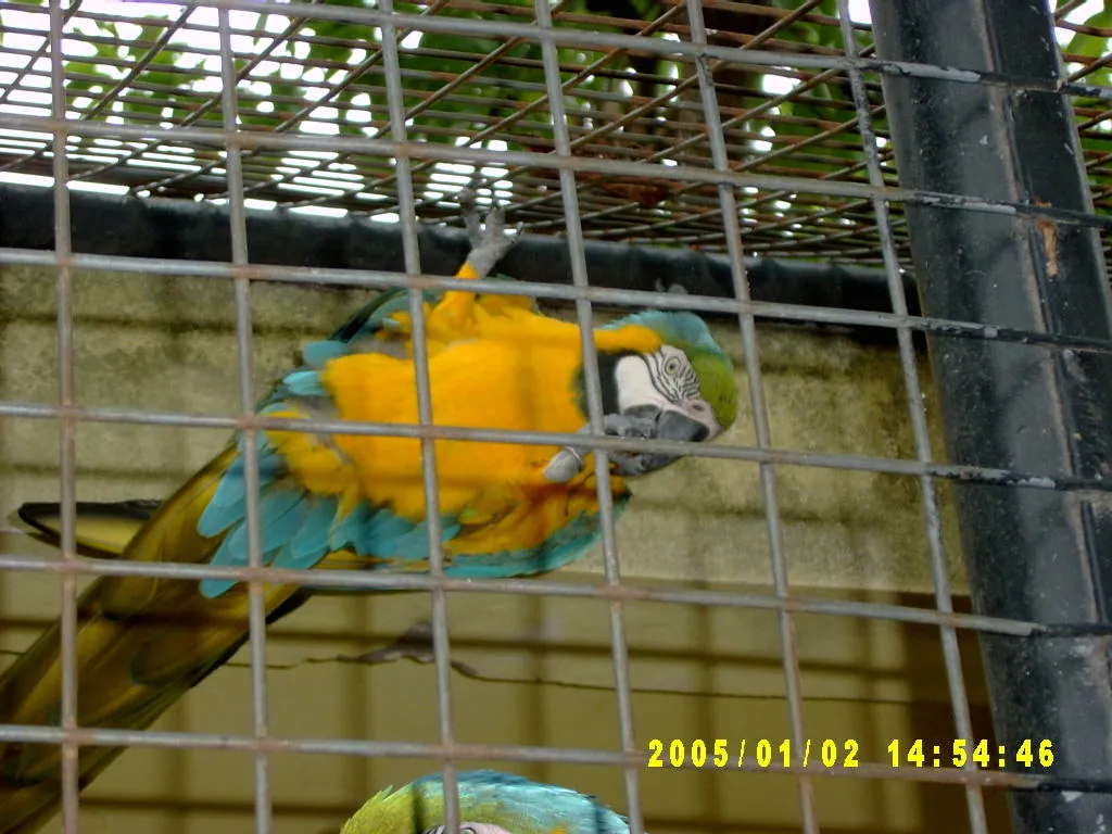 大事记 / Hope Garden&Hope Zoo，SV300598.JPG