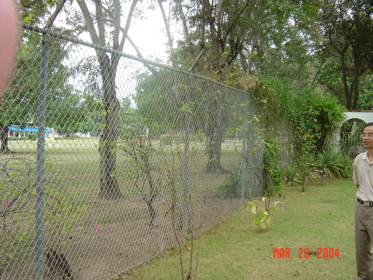 前期考察 / Embassor house，DSC00544.JPG