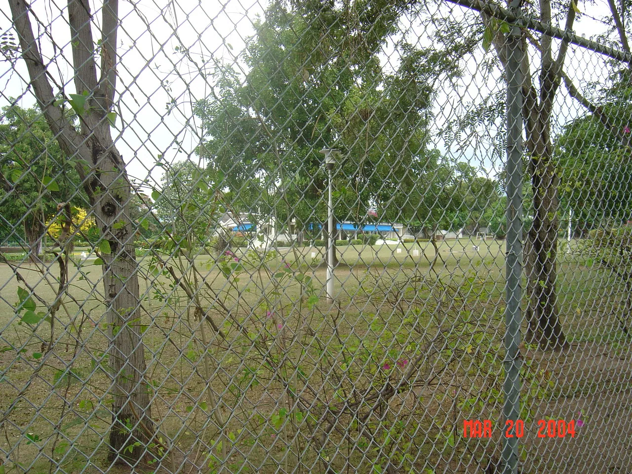 前期考察 / Embassor house，DSC00542.JPG