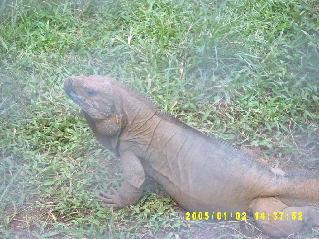 大事记 / Hope Garden&Hope Zoo，SV300565.JPG