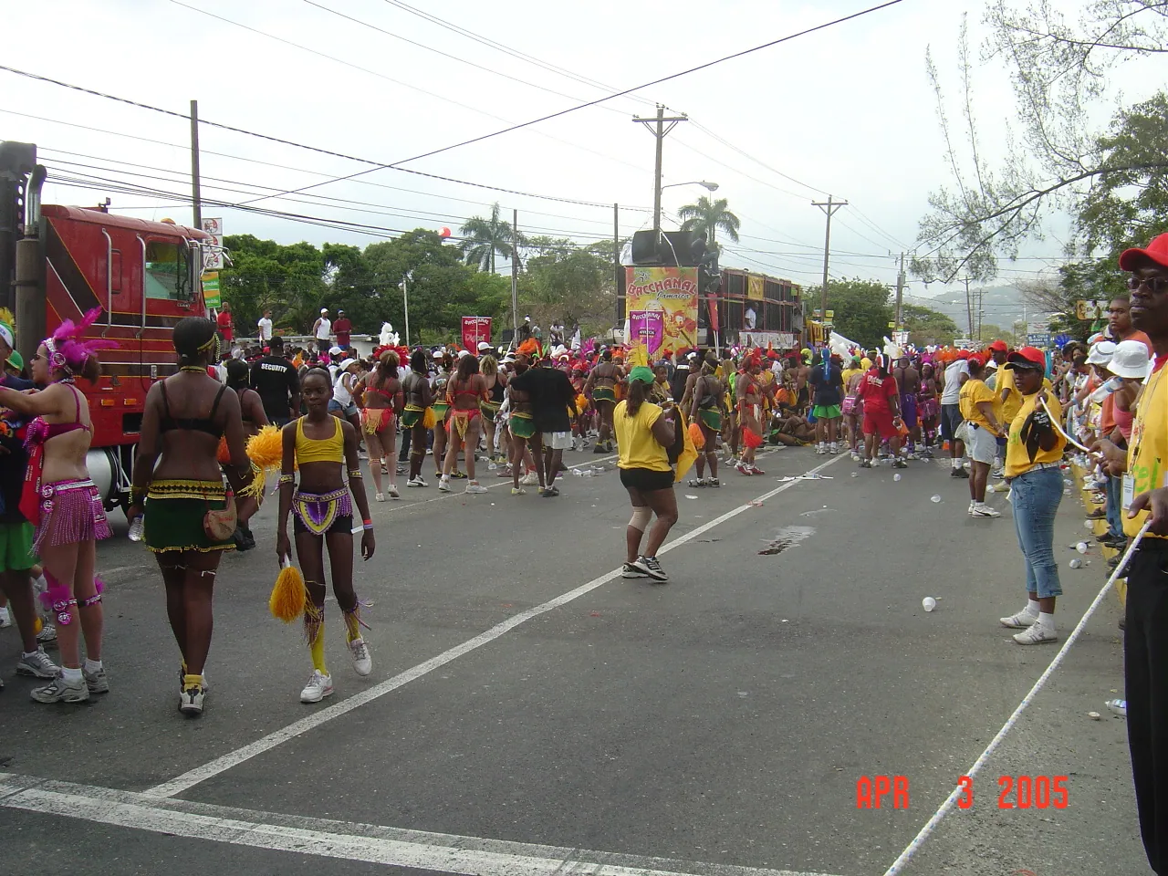 大事记 / 牙买加狂欢节（Carnival），DSC02409.JPG