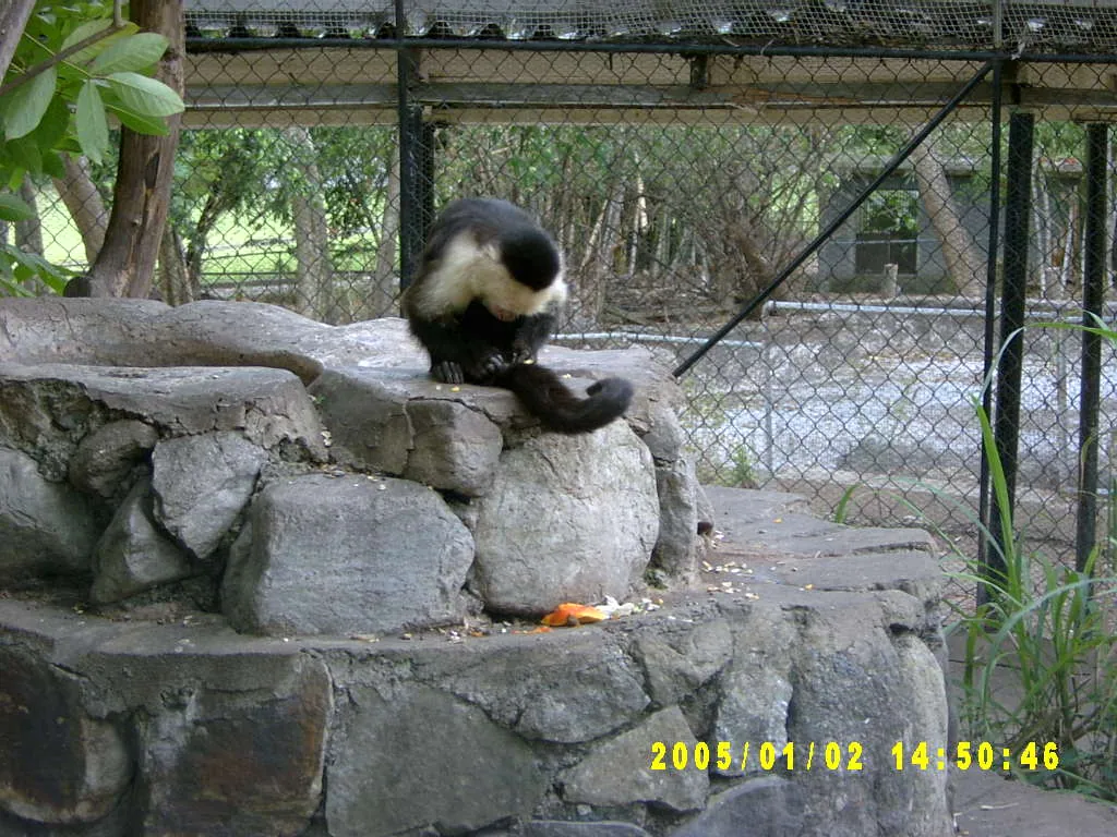 大事记 / Hope Garden&Hope Zoo，SV300590.JPG