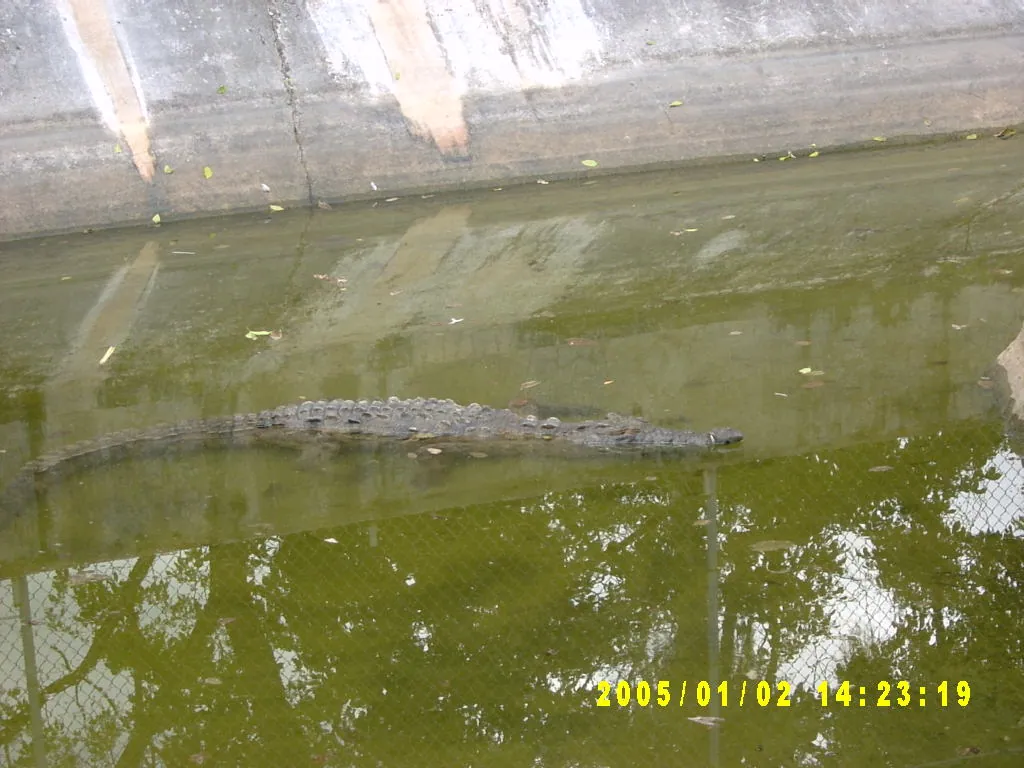 大事记 / Hope Garden&Hope Zoo，SV300542.JPG
