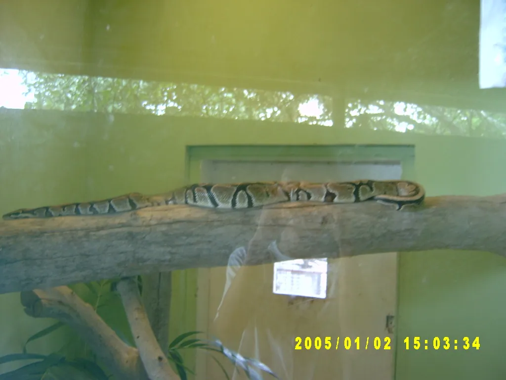 大事记 / Hope Garden&Hope Zoo，SV300606.JPG