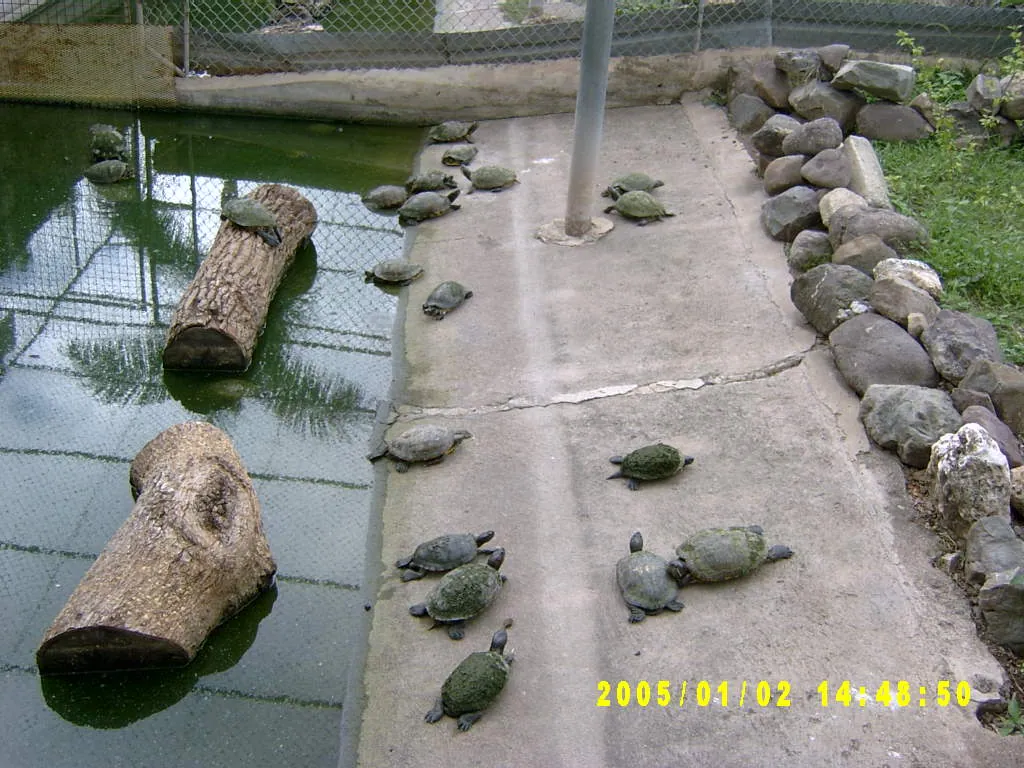 大事记 / Hope Garden&Hope Zoo，SV300585.JPG