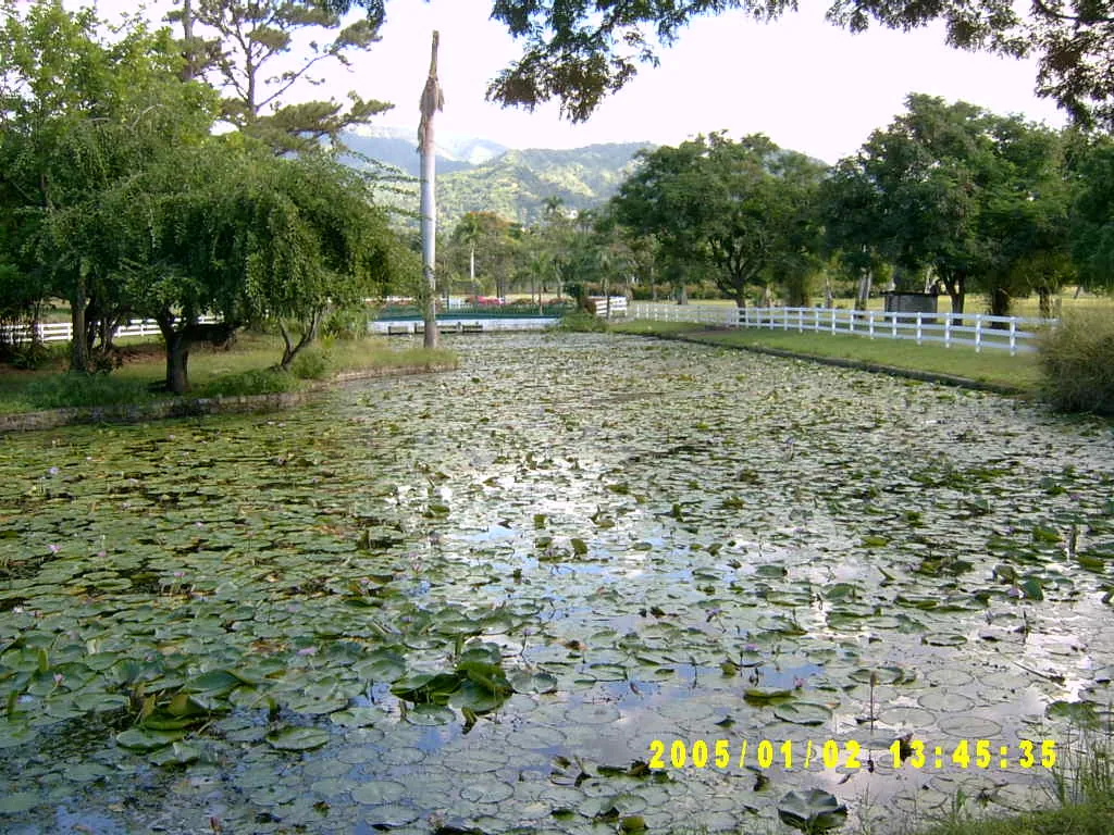 大事记 / Hope Garden&Hope Zoo，SV300483.JPG