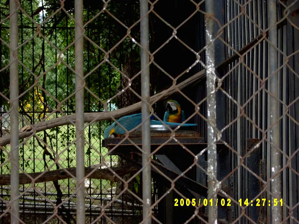 大事记 / Hope Garden&Hope Zoo，SV300552.JPG
