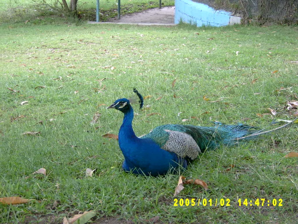 大事记 / Hope Garden&Hope Zoo，SV300580.JPG