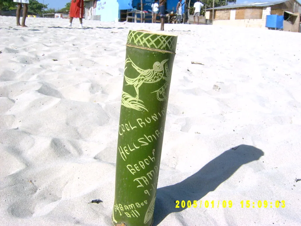 小事记 / 爱尔沙Beach，SV300701.JPG