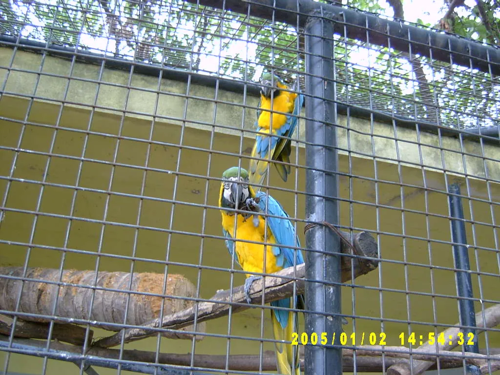 大事记 / Hope Garden&Hope Zoo，SV300596.JPG