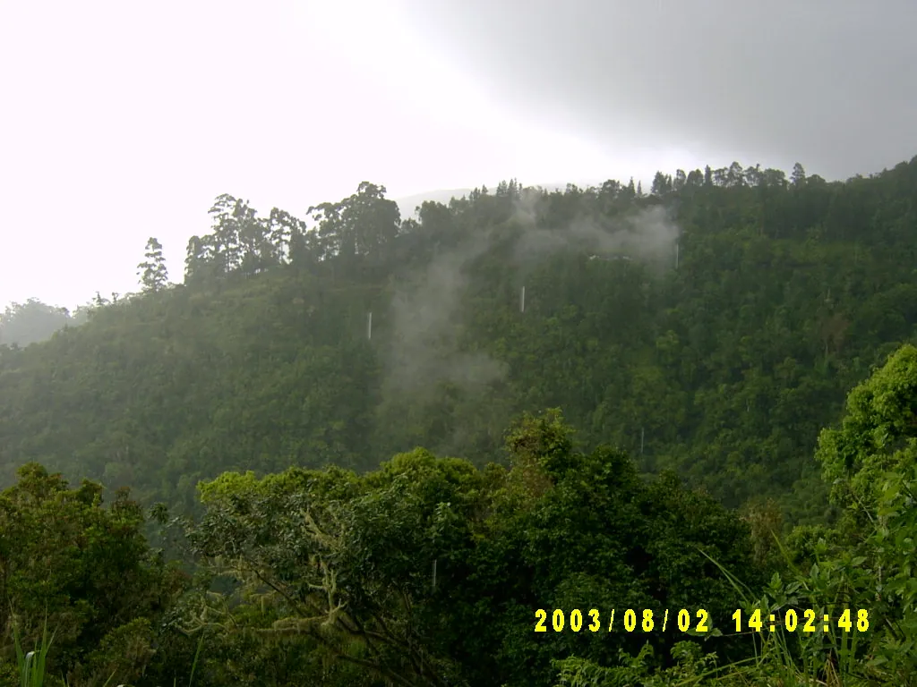 大事记 / Blue Mountain，SV300060.JPG
