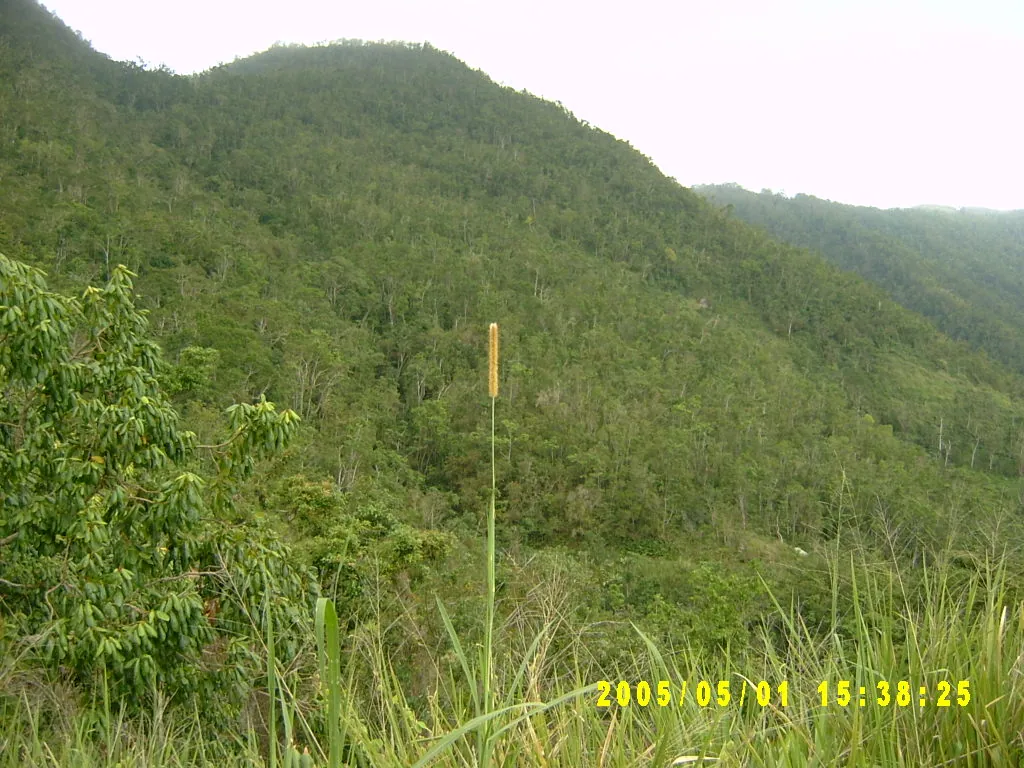 小事记 / 山顶烧烤，SV302296.JPG