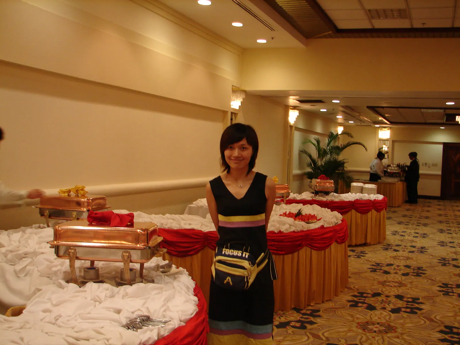小事记 / 希尔顿国庆招待会，DSC00533.JPG