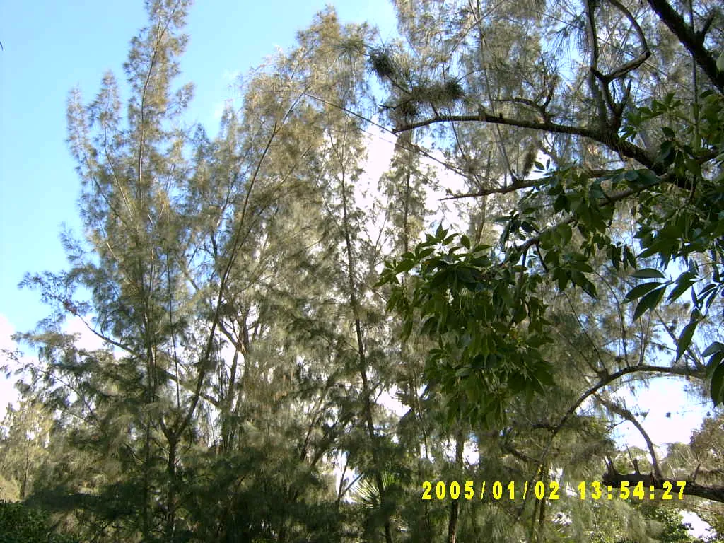 大事记 / Hope Garden&Hope Zoo，SV300498.JPG