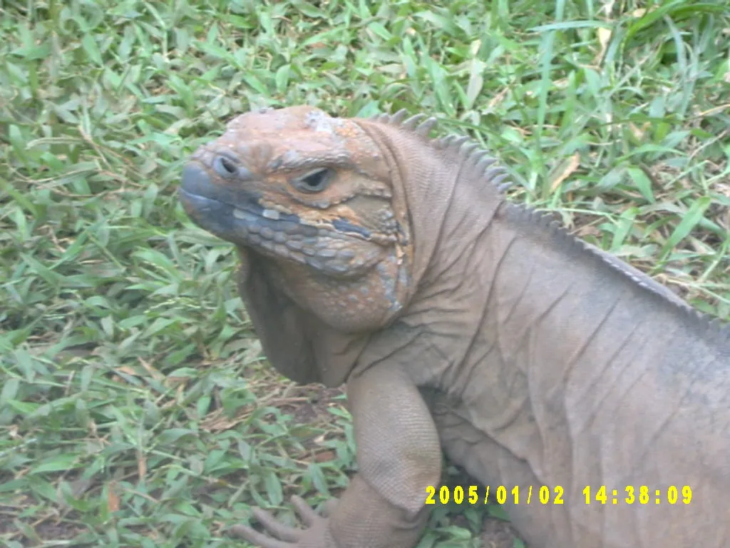大事记 / Hope Garden&Hope Zoo，SV300566.JPG