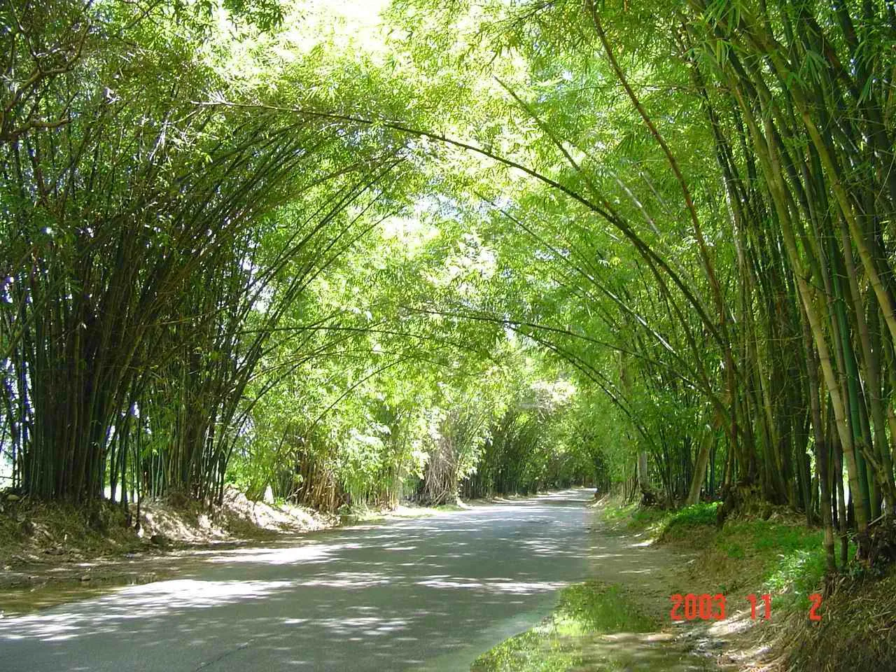 Jamaica标志性照片，31.jpg