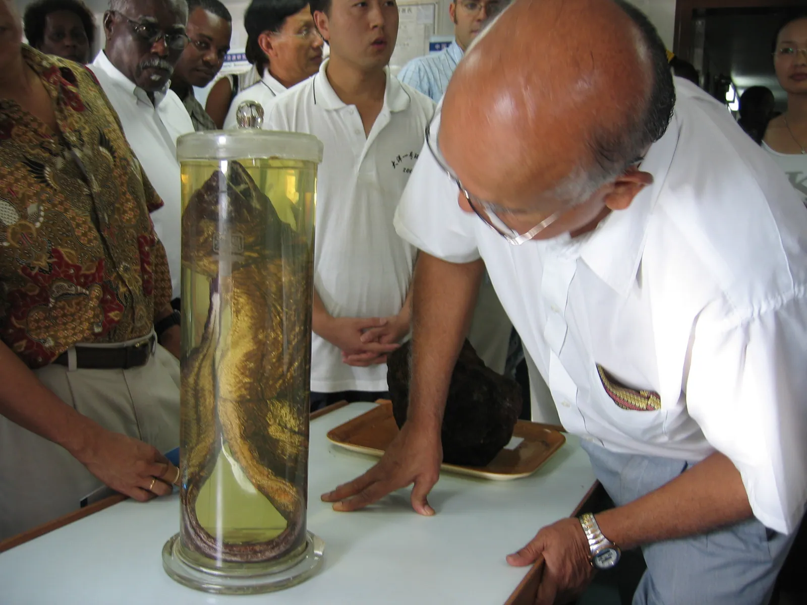 大事记 / 大洋一号 / selected photos for Mr. Zhao-Global expedtion and Jamaica activities，20051006 187.jpg