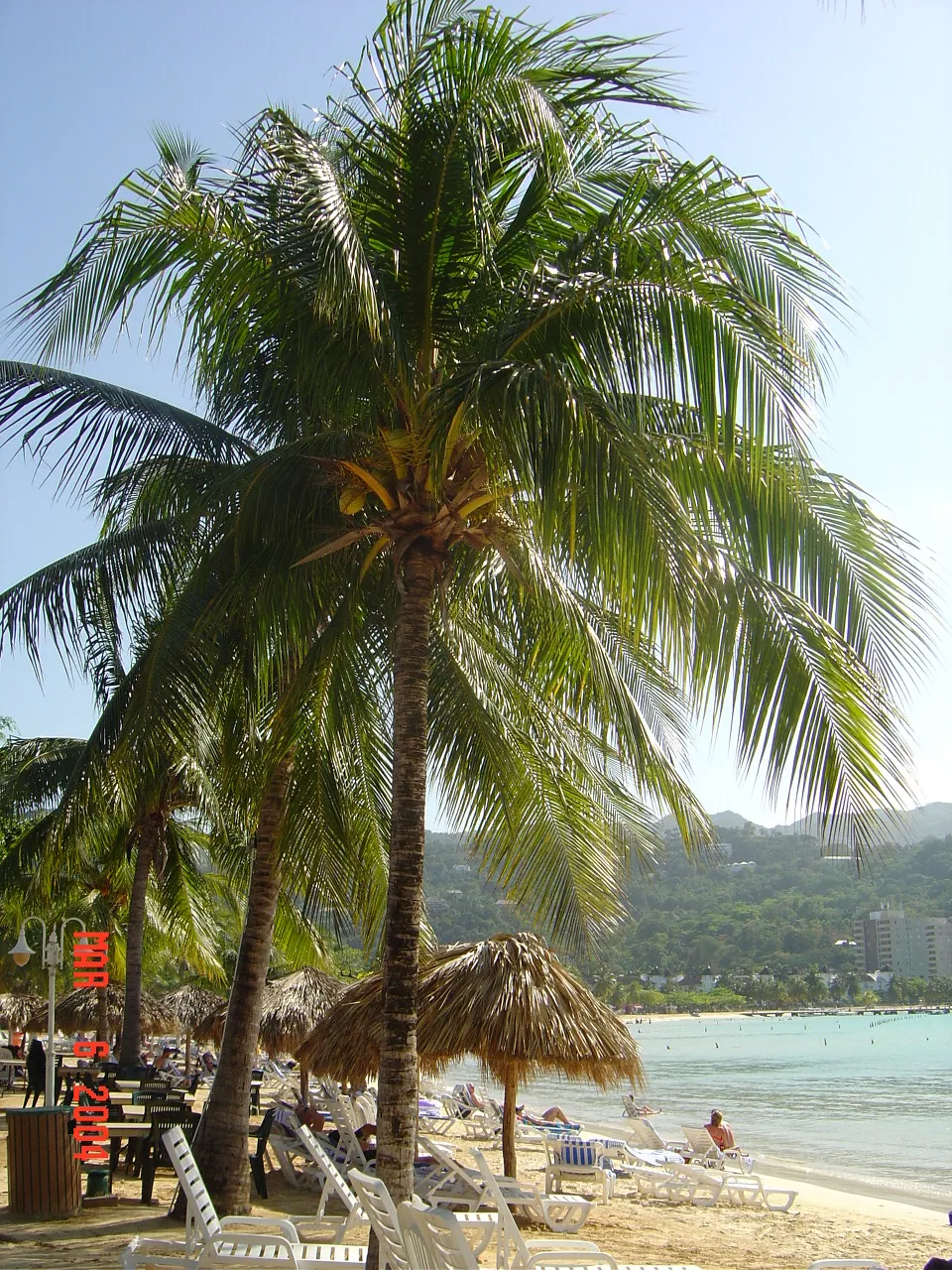 前期考察 / travel / OCHO RIOS，DSC00447.JPG