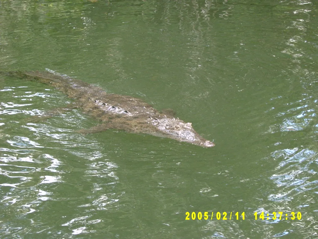 大事记 / 黑河，SV301370.JPG