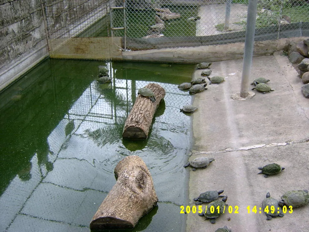 大事记 / Hope Garden&Hope Zoo，SV300586.JPG