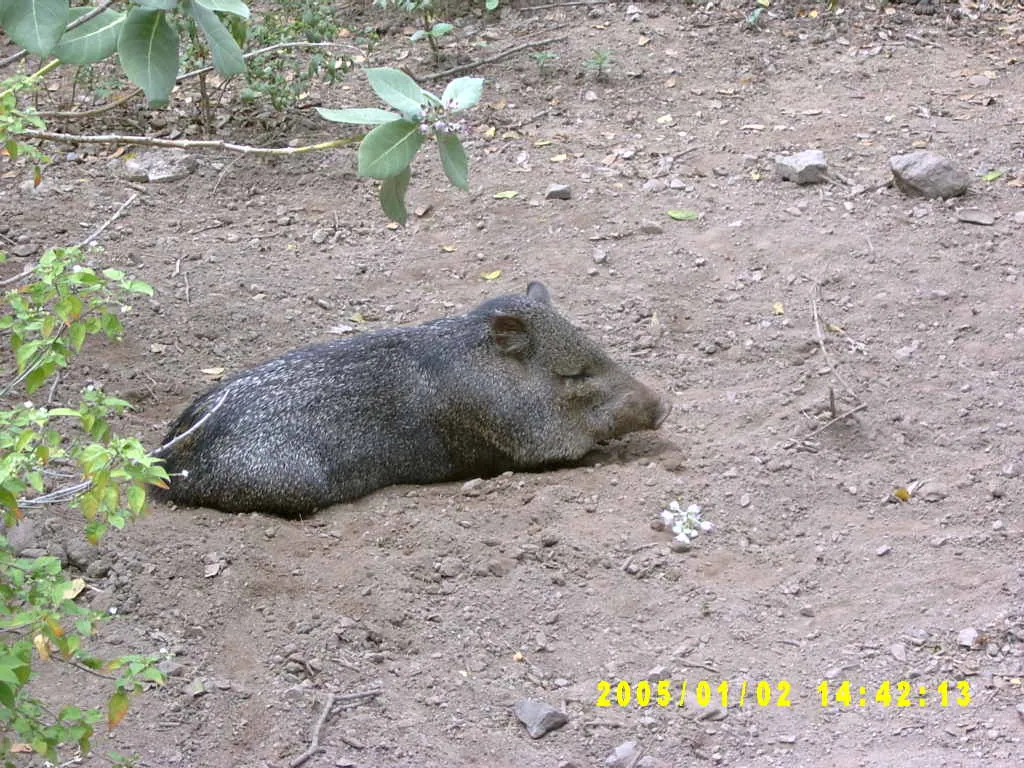 大事记 / Hope Garden&Hope Zoo，SV300573.JPG