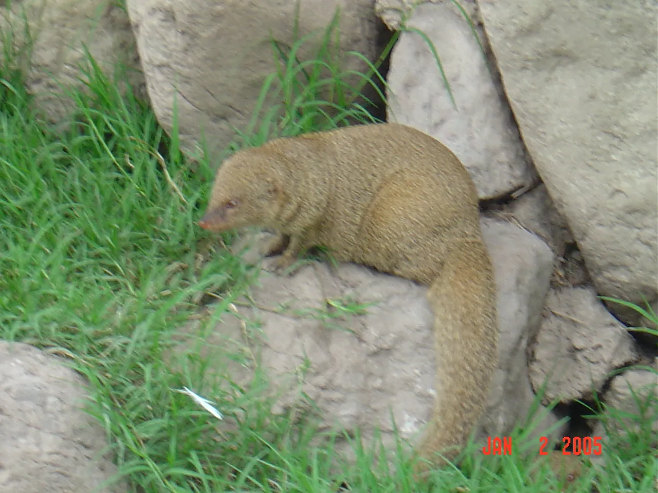 大事记 / Hope Garden&Hope Zoo，DSC02055.JPG