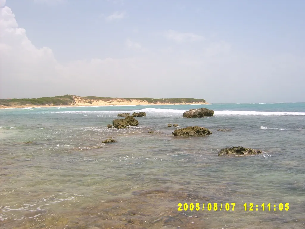 小事记 / 抓海螺，SV303160.JPG