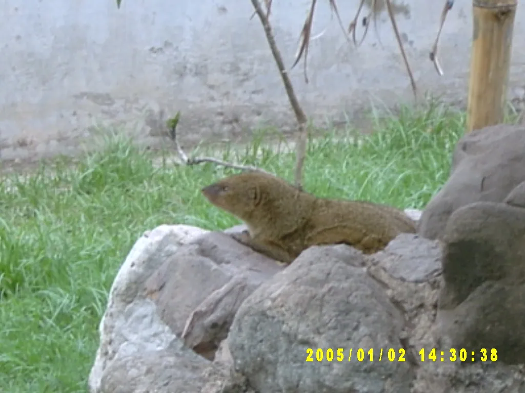 大事记 / Hope Garden&Hope Zoo，SV300560.JPG